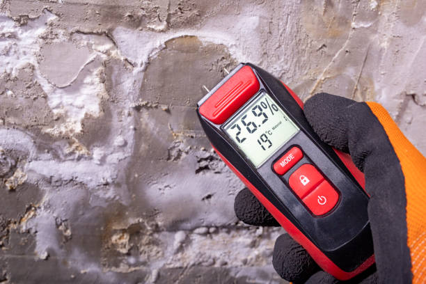 Best Black Mold Removal  in Danbury, CT