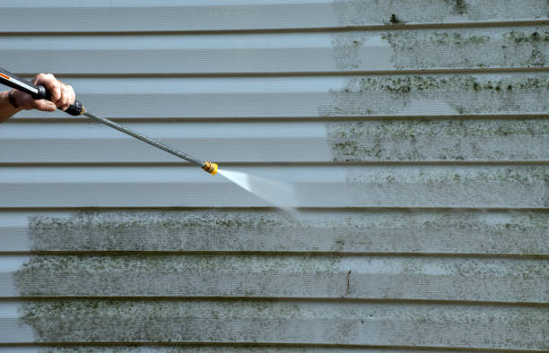 Professional Mold Removal in Danbury, CT