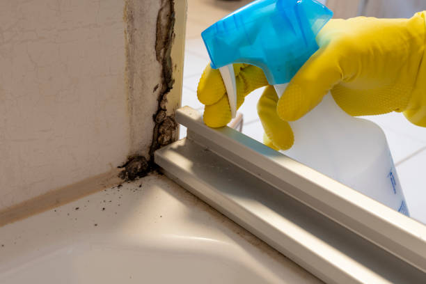 Certified Mold Removal in Danbury, CT